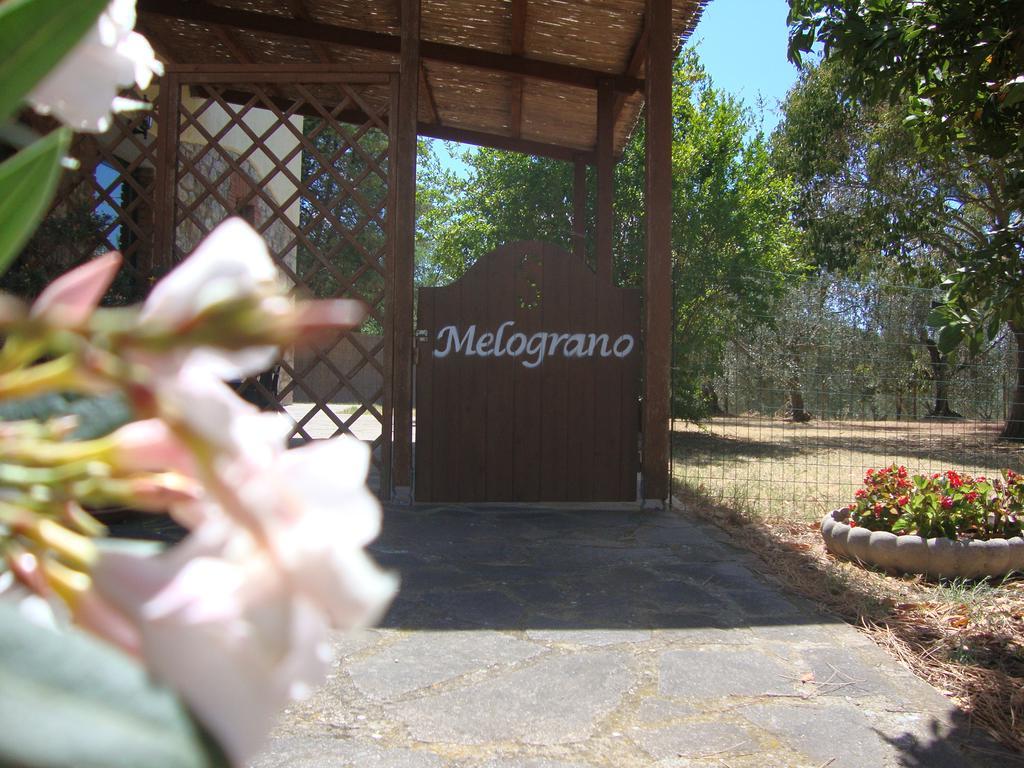 Agriturismo Podere Selvette Campagnatico Exteriör bild