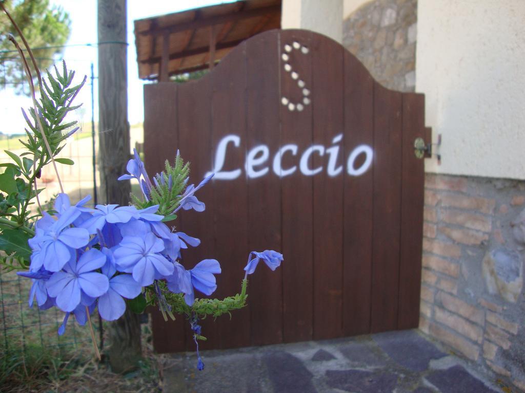 Agriturismo Podere Selvette Campagnatico Exteriör bild