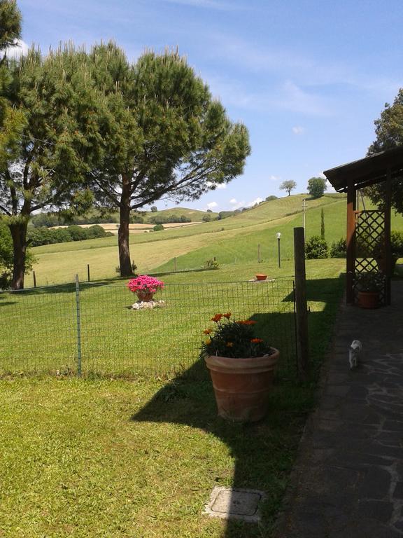 Agriturismo Podere Selvette Campagnatico Exteriör bild